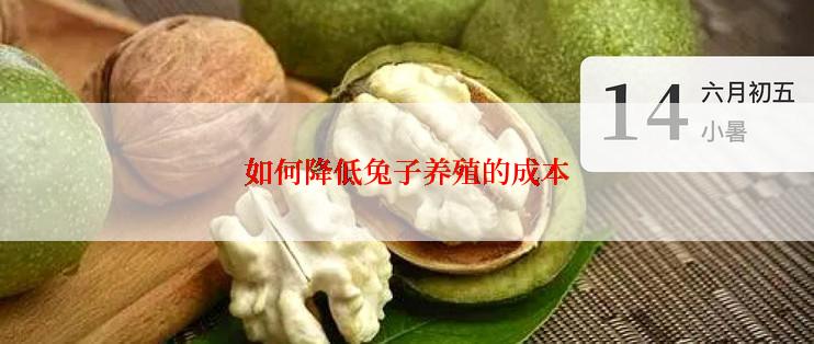 如何降低兔子养殖的成本