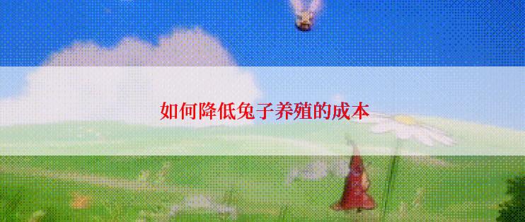  如何降低兔子养殖的成本