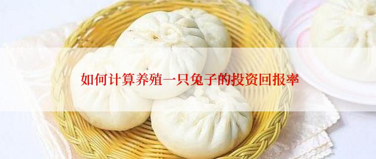  如何计算养殖一只兔子的投资回报率