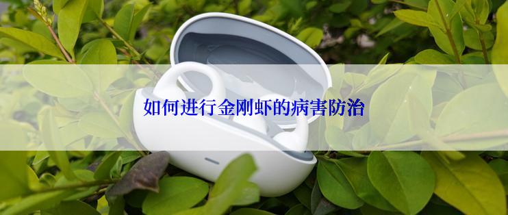 如何进行金刚虾的病害防治