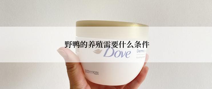  野鸭的养殖需要什么条件