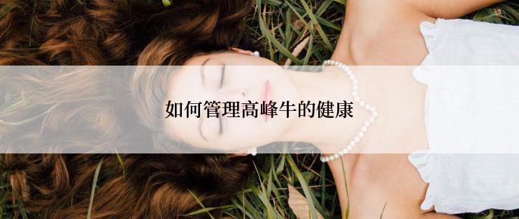 如何管理高峰牛的健康