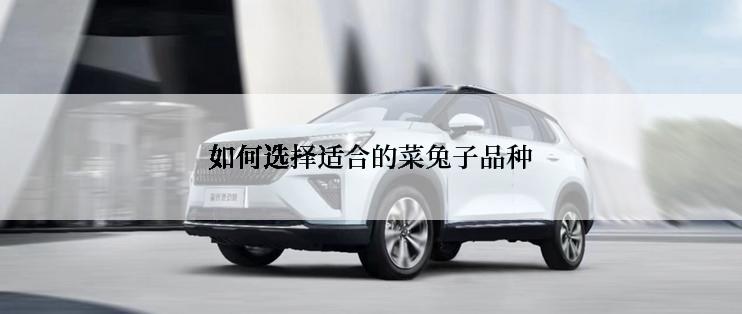 如何选择适合的菜兔子品种