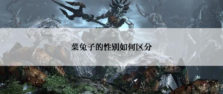 菜兔子的性别如何区分