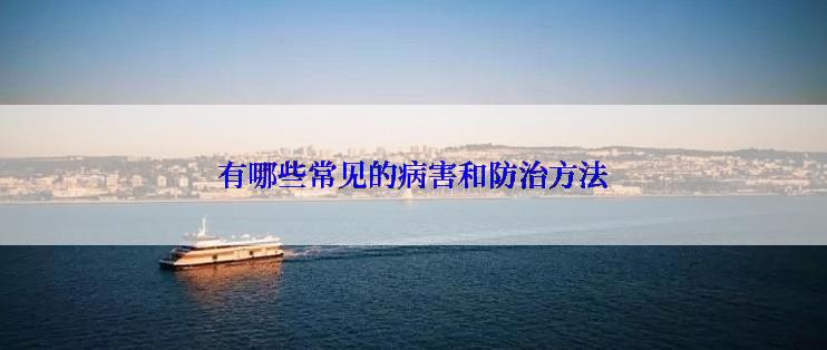 有哪些常见的病害和防治方法