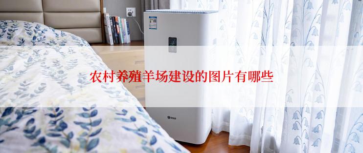 农村养殖羊场建设的图片有哪些