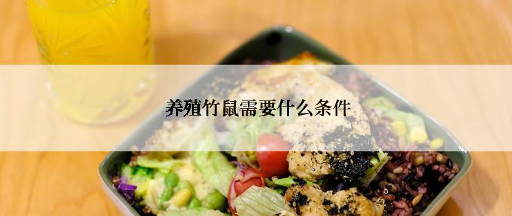  养殖竹鼠需要什么条件