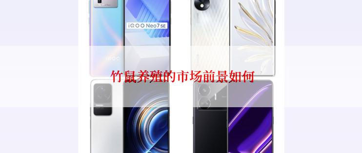  竹鼠养殖的市场前景如何