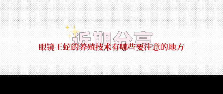 眼镜王蛇的养殖技术有哪些要注意的地方