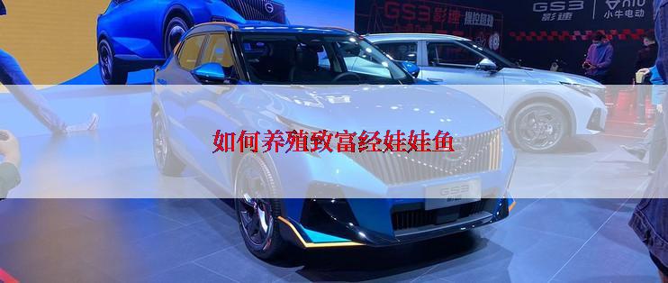 如何养殖致富经娃娃鱼