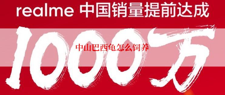 中山巴西龟怎么饲养