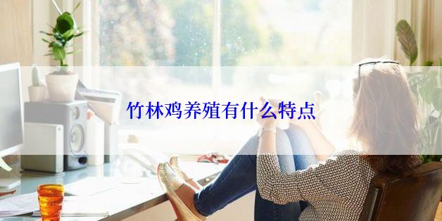 竹林鸡养殖有什么特点