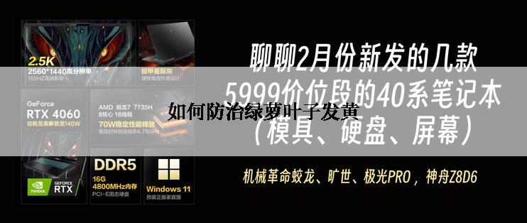 如何防治绿萝叶子发黄