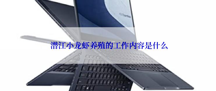  潜江小龙虾养殖的工作内容是什么