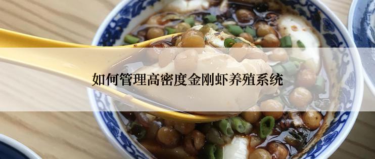 如何管理高密度金刚虾养殖系统