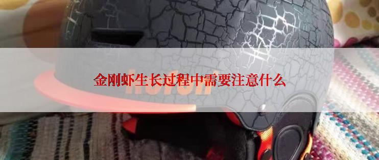 金刚虾生长过程中需要注意什么