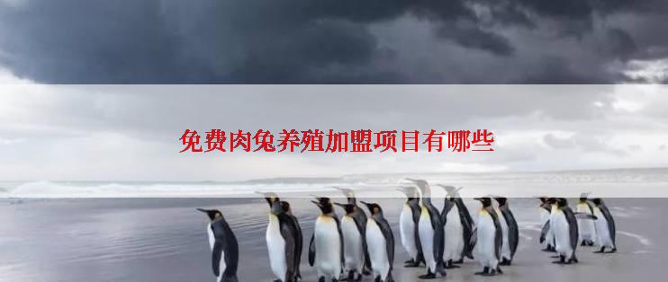  免费肉兔养殖加盟项目有哪些