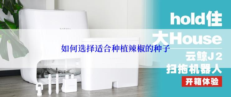 如何选择适合种植辣椒的种子