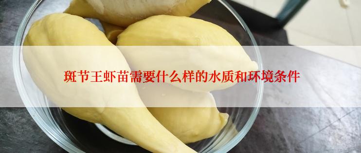  斑节王虾苗需要什么样的水质和环境条件