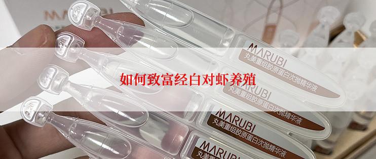 如何致富经白对虾养殖