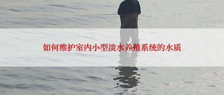 如何维护室内小型淡水养殖系统的水质
