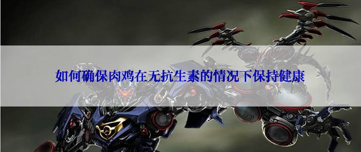 如何确保肉鸡在无抗生素的情况下保持健康