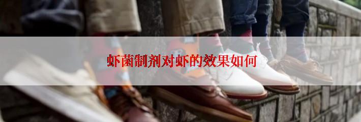  虾菌制剂对虾的效果如何