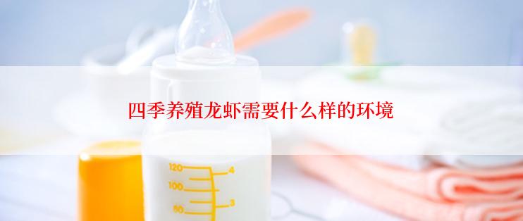 四季养殖龙虾需要什么样的环境