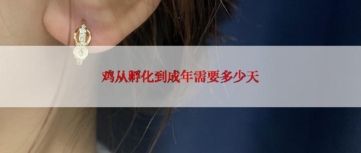 鸡从孵化到成年需要多少天