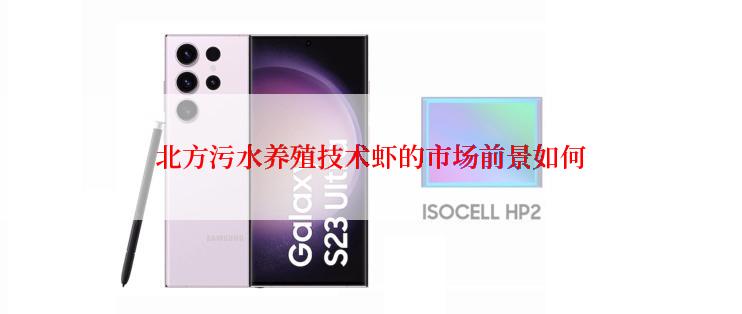 北方污水养殖技术虾的市场前景如何