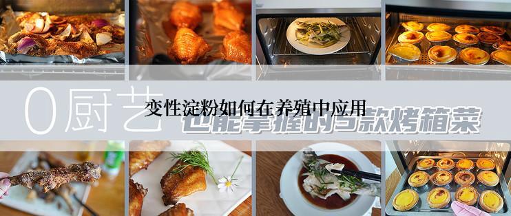 变性淀粉如何在养殖中应用