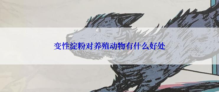变性淀粉对养殖动物有什么好处