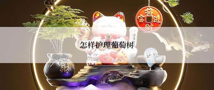 怎样护理葡萄树