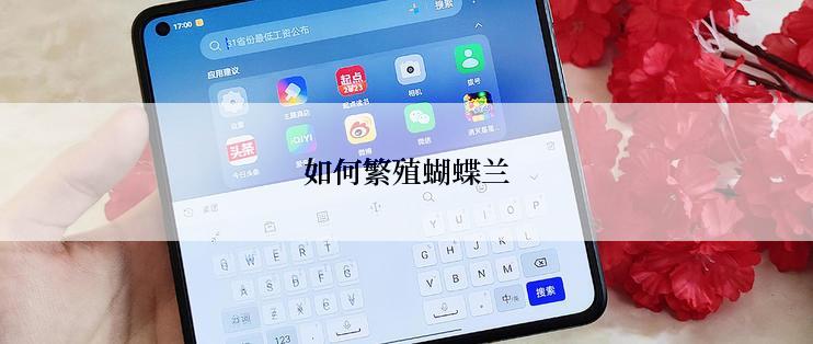 如何繁殖蝴蝶兰