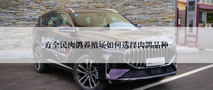 方全民肉鸽养殖场如何选择肉鸽品种