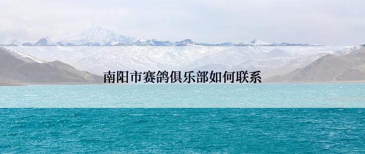 南阳市赛鸽俱乐部如何联系