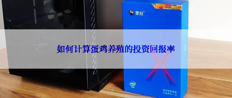 如何计算蛋鸡养殖的投资回报率