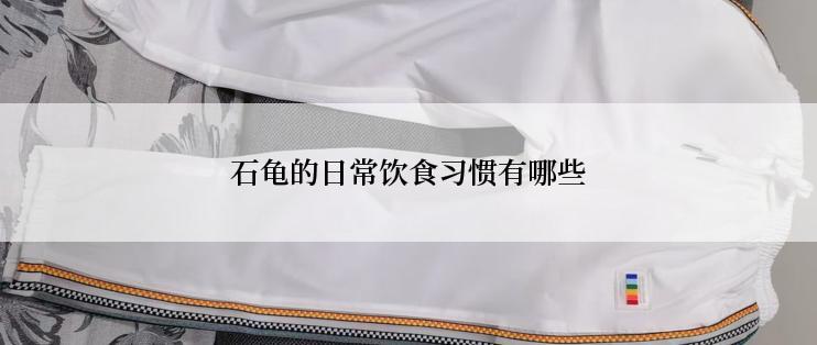 石龟的日常饮食习惯有哪些