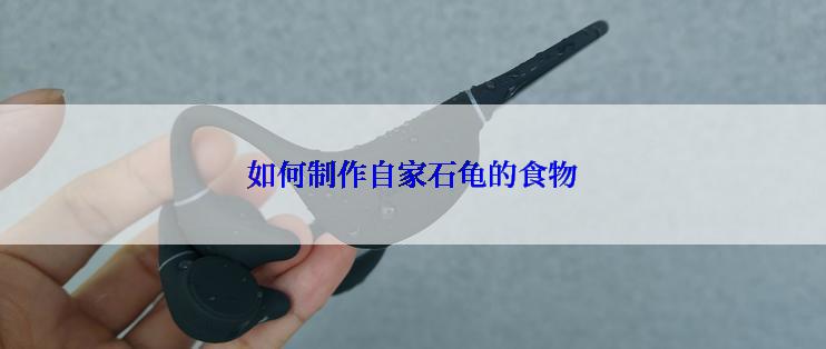 如何制作自家石龟的食物