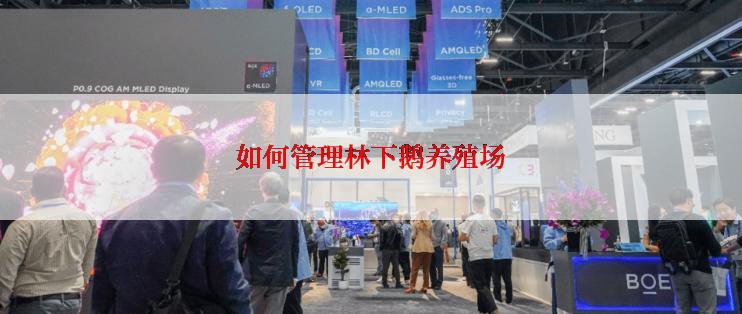 如何管理林下鹅养殖场