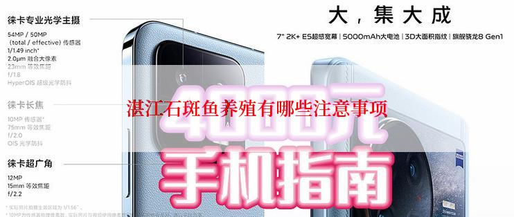 湛江石斑鱼养殖有哪些注意事项