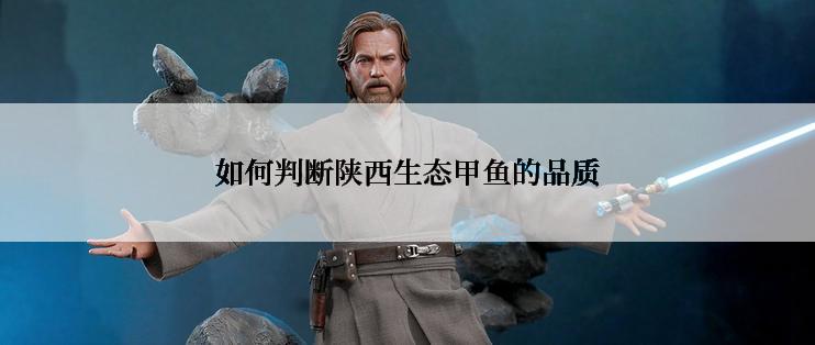 如何判断陕西生态甲鱼的品质