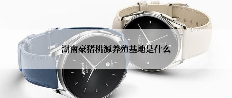 湖南豪猪桃源养殖基地是什么