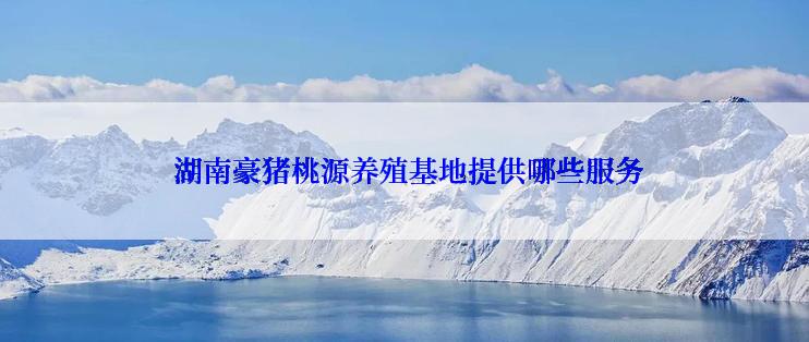  湖南豪猪桃源养殖基地提供哪些服务