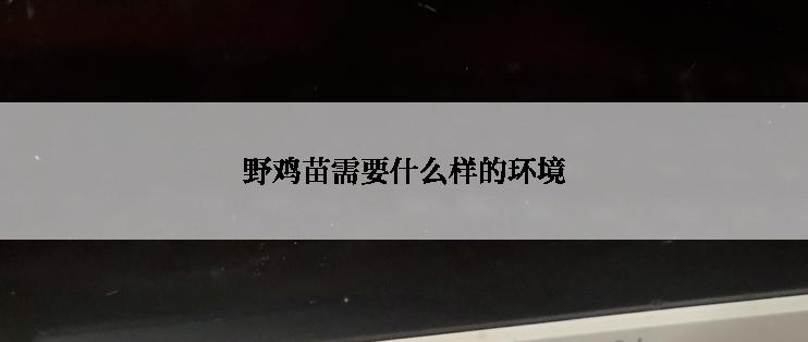野鸡苗需要什么样的环境