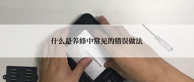 什么是养蜂中常见的错误做法