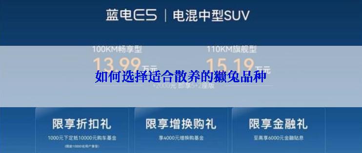 如何选择适合散养的獭兔品种