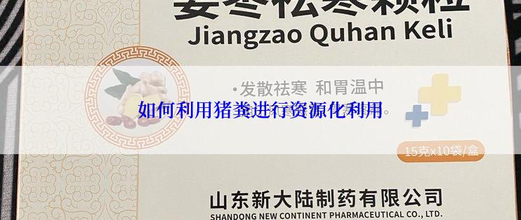 如何利用猪粪进行资源化利用