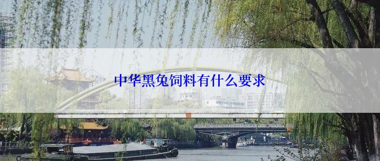 中华黑兔饲料有什么要求