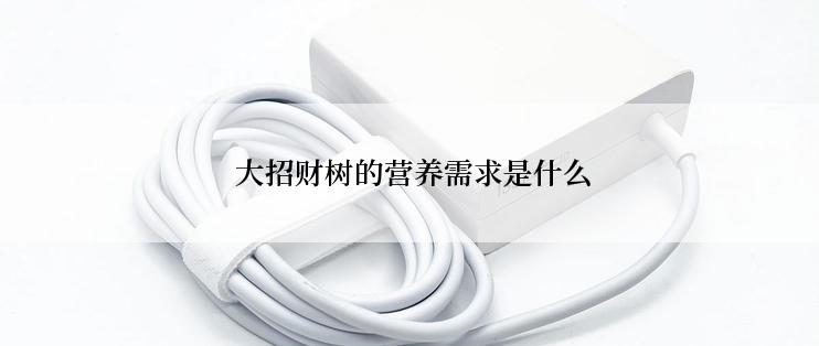  大招财树的营养需求是什么